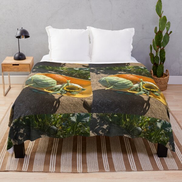 Artikelvorschau, Kürbisbeet-Blumenpflanzen, grün, gelb, orange, Herbst-Socken-Aufkleber, Wandbilder, Magnetkarten, Handyhüllen, Redbubble-Shop entworfen und verkauft von Saritas Boutique Shop.