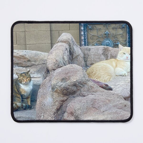 Item preview, Mamacita (left) and her son Creamsicle designed and sold by Papergreat.