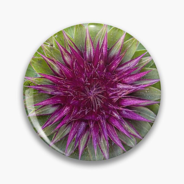 Item preview, Nature’s Spiky Masterpiece designed and sold by Dirt500.