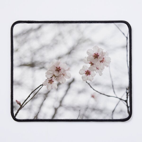 Item preview, Two Cherry Blossom Sprigs in the Gentlest of Pinks designed and sold by Georgia Mizuleva.