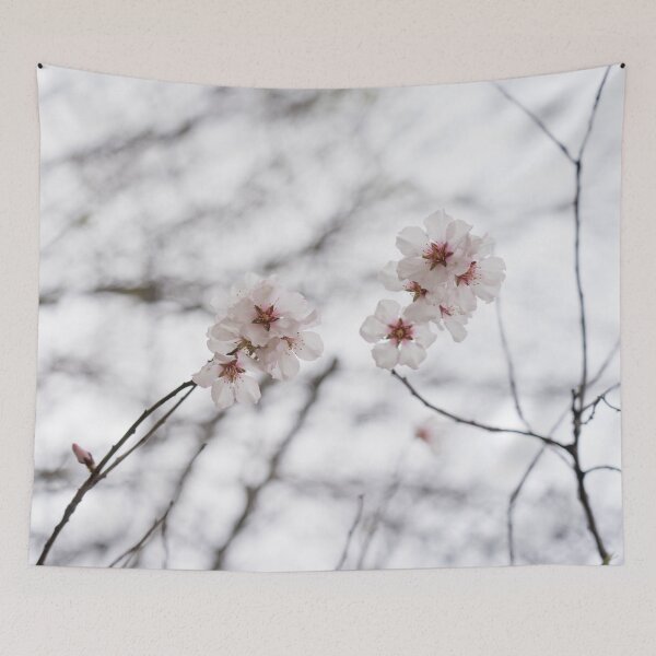 Item preview, Two Cherry Blossom Sprigs in the Gentlest of Pinks designed and sold by Georgia Mizuleva.