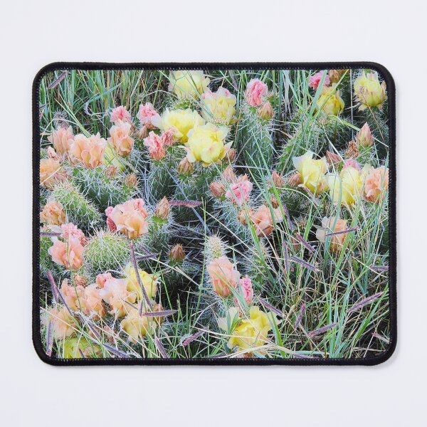 Item preview, Wyoming Wildflowers: Plains Prickly Pear at Curt Gowdy State Park designed and sold by Dirt500.