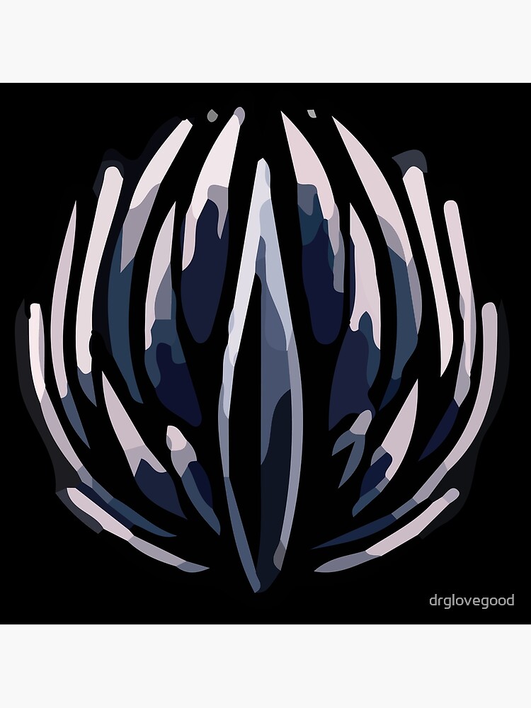 Quick Slash Hollow Knight Photographic Print By Drglovegood Redbubble   Flat,750x,075,f Pad,750x1000,f8f8f8 