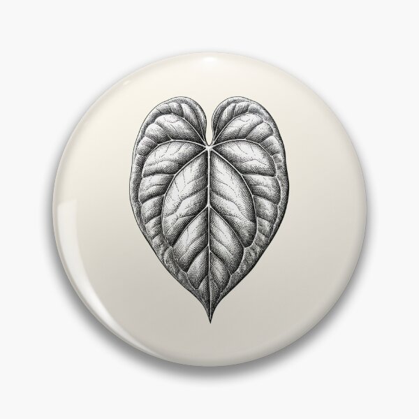 Artikelvorschau, Anthurium Clarinervium Blatt – Minimalistische Pflanzenzeichnung aus Samtkarton und Herz entworfen und verkauft von PraiseDawn Botanics.