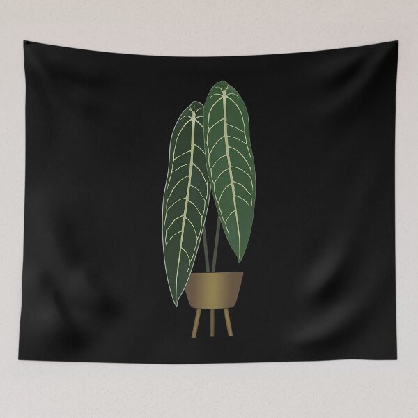 Item preview, Queen Anthurium Warocqueanum designed and sold by yjgiivkkihp20.