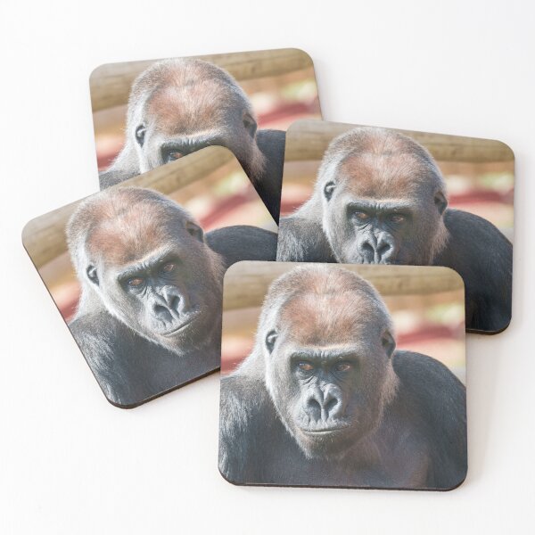 Item preview, Gorilla Asante in Thought designed and sold by rawshutterbug.