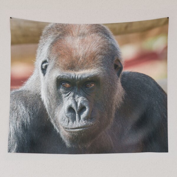 Item preview, Gorilla Asante in Thought designed and sold by rawshutterbug.