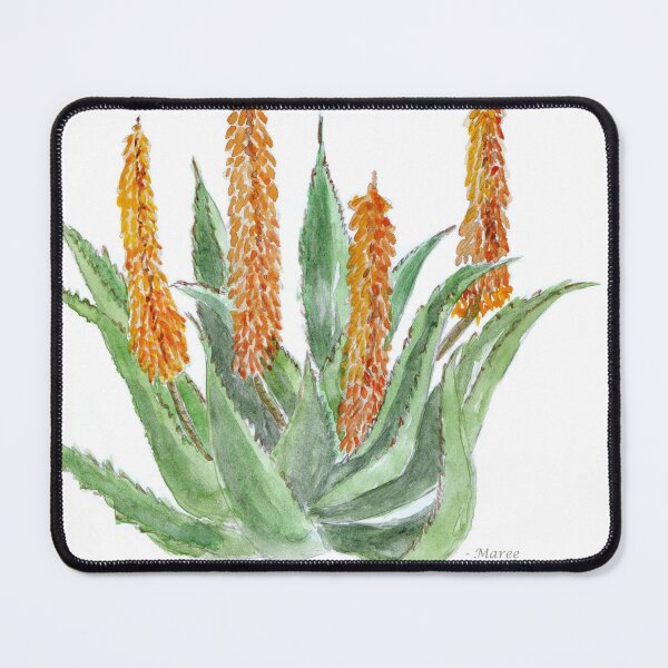 Item preview, Aloe ferox sketch designed and sold by Maree Clarkson .