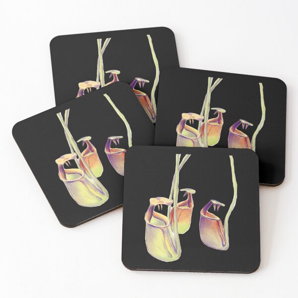 Item preview, Nepenthes Bicalcarata Pitcher Plant designed and sold by satmilppk62.