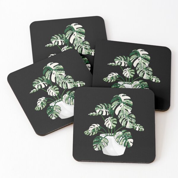 Item preview, Variegated Monstera Deliciosa designed and sold by satmilppk62.