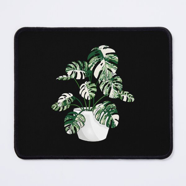 Item preview, Variegated Monstera Deliciosa designed and sold by satmilppk62.