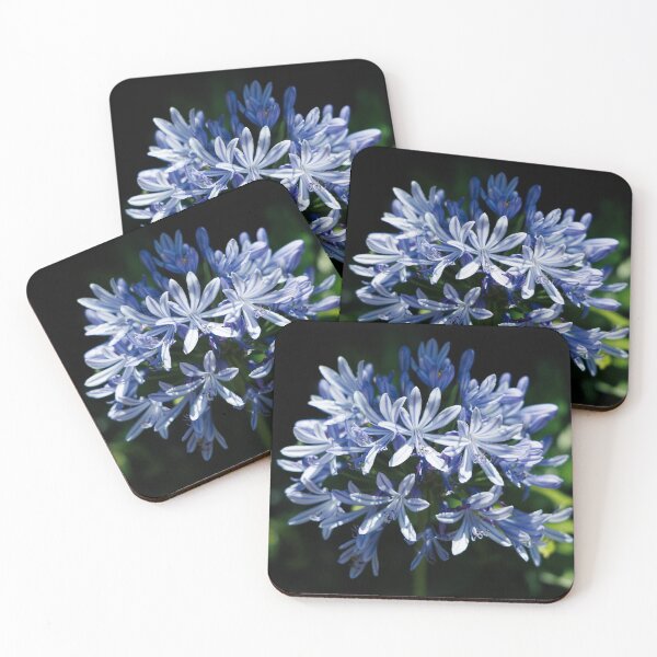 Item preview, agapanthus designed and sold by Erich-Remde.