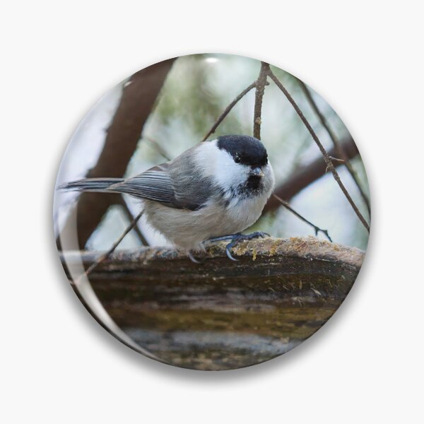 Item preview, Wintertit. Willow tit designed and sold by Jouko Lehto Photography.