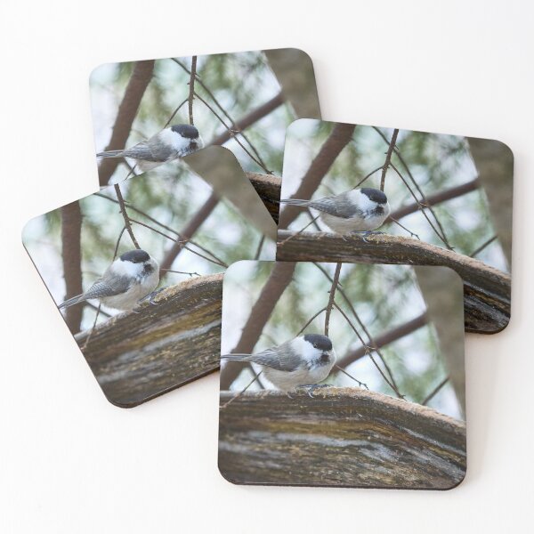 Item preview, Wintertit. Willow tit designed and sold by Jouko Lehto Photography.