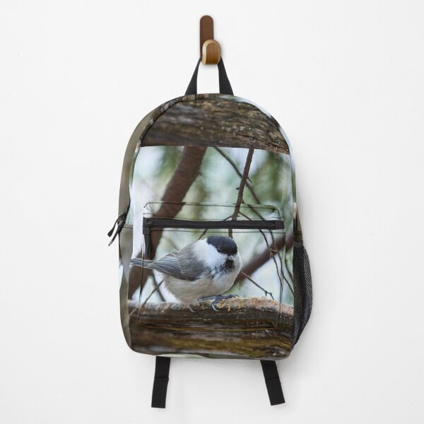 Item preview, Wintertit. Willow tit designed and sold by Jouko Lehto Photography.