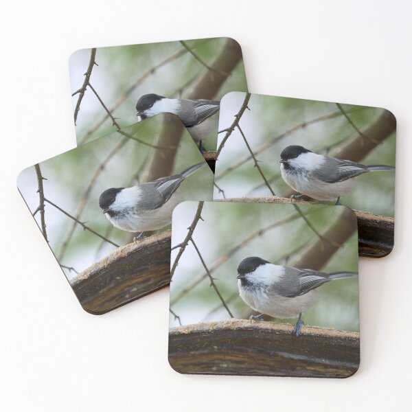 Item preview, The shine in your eyes. Willow tit designed and sold by Jouko Lehto Photography.