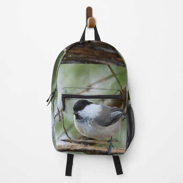 Item preview, The shine in your eyes. Willow tit designed and sold by Jouko Lehto Photography.