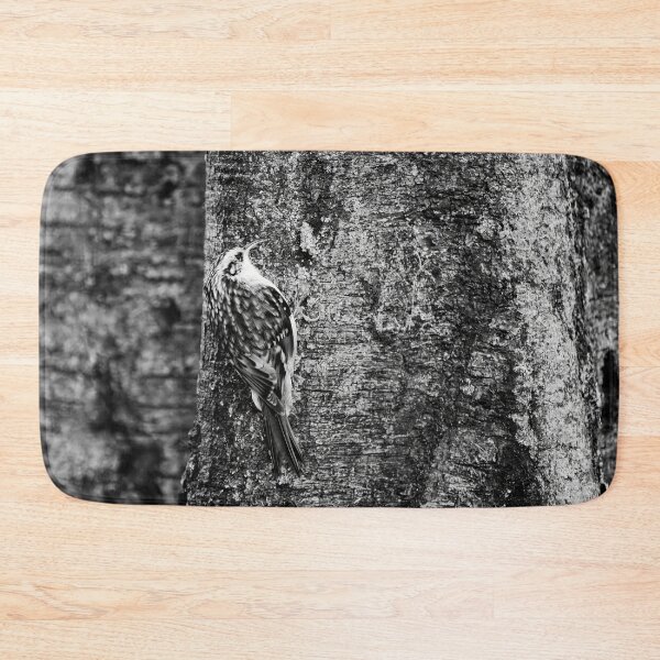 Item preview, Birchcreeping. Eurasian treecreeper bw designed and sold by Jouko Lehto Photography.