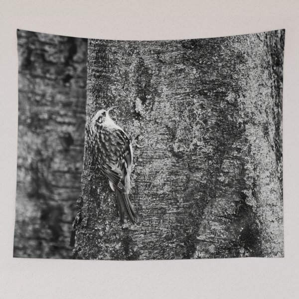Item preview, Birchcreeping. Eurasian treecreeper bw designed and sold by Jouko Lehto Photography.