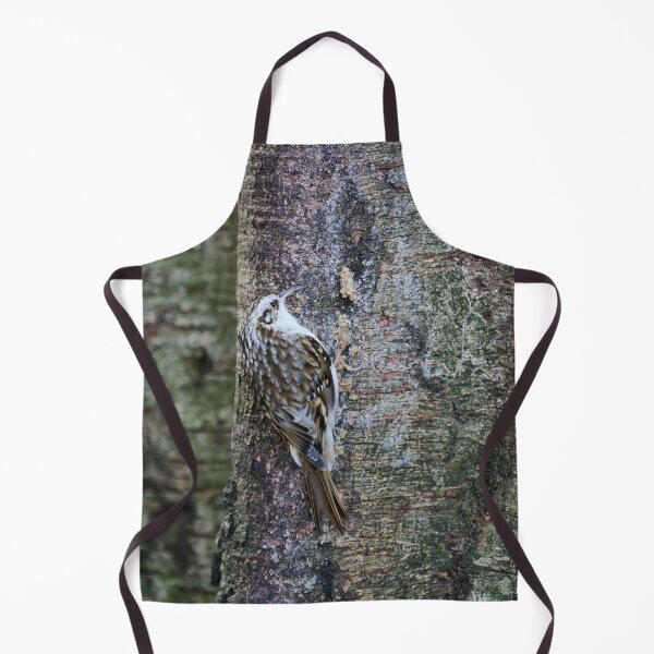 Item preview, Birchcreeping. Eurasian treecreeper designed and sold by Jouko Lehto Photography.