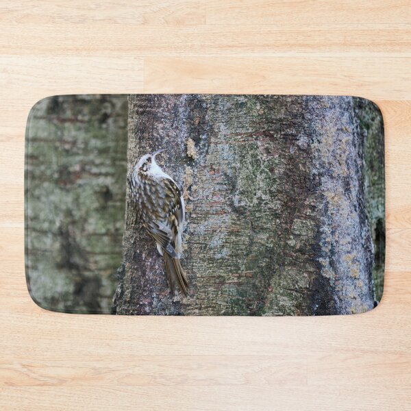 Item preview, Birchcreeping. Eurasian treecreeper designed and sold by Jouko Lehto Photography.