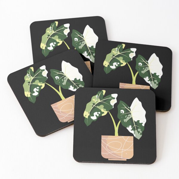 Item preview, Variegated Alocasia Frydek designed and sold by afypgzcstc8.