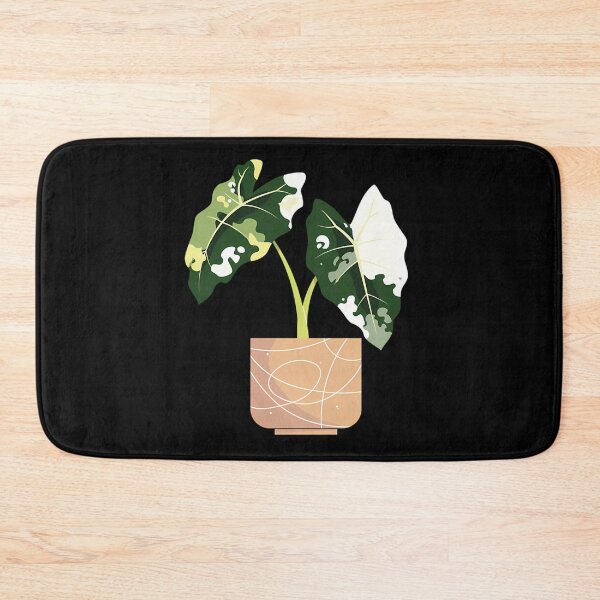 Item preview, Variegated Alocasia Frydek designed and sold by afypgzcstc8.