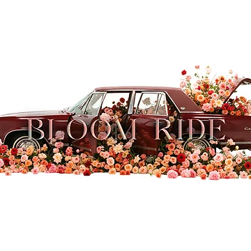 Artwork thumbnail, Bloom Ride by サミディオ
