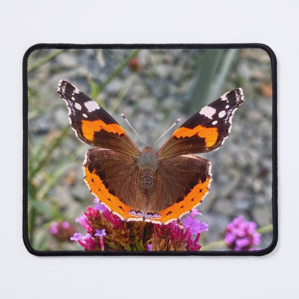 Item preview, Red Admiral Butterfly Close Up - Vibrant Vanessa Atalanta on Summer Bloom designed and sold by leonwoods.