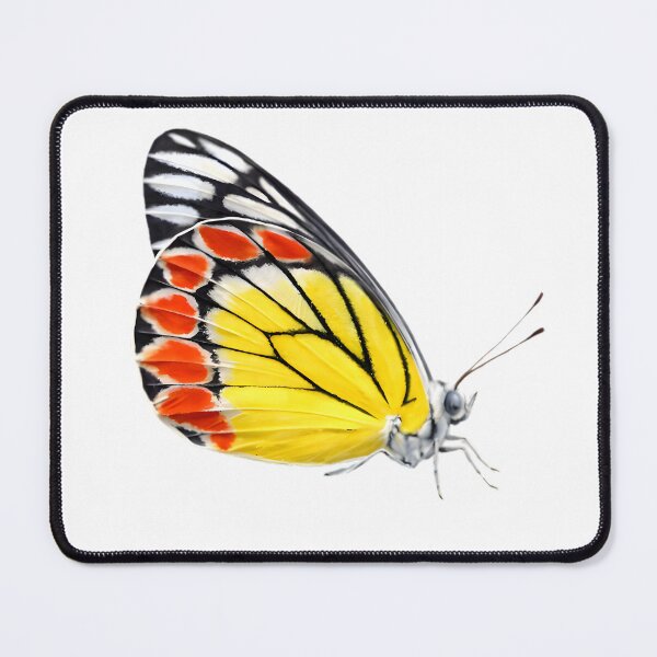 Item preview, Common Jezebel (Delias nigrina) designed and sold by HOMETOWN86.
