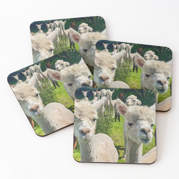 Item preview, Curious Alpaca Duo - Funny Smiling Alpacas in a Summer Meadow Portrait designed and sold by leonwoods.