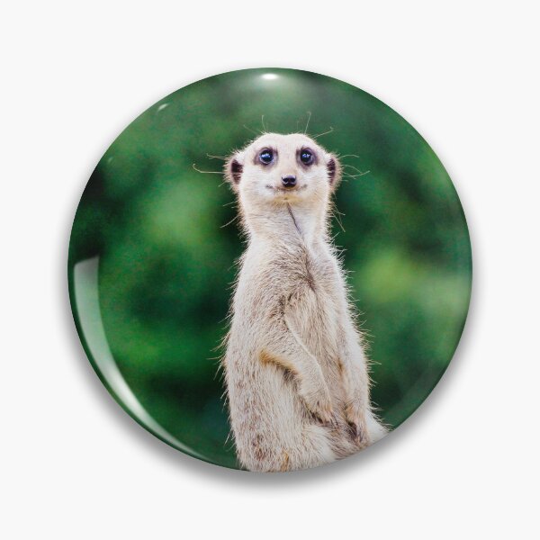 Item preview, The Little Sentinel - Upright Sitting Meerkat Wildlife Portrait designed and sold by leonwoods.