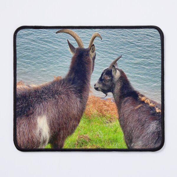 Item preview, Wild Goats of the Valley of Rocks - Dramatic North Devon Coastal Cliffs Portrait designed and sold by leonwoods.