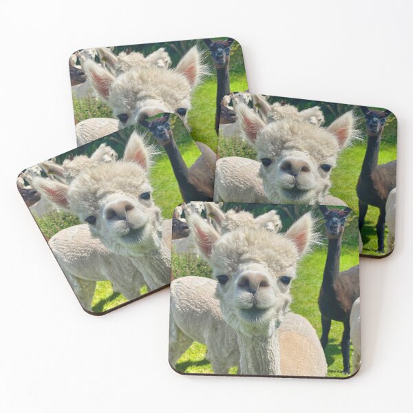 Item preview, Curious Alpaca Face - Funny Fluffy Animal Portrait Close Up designed and sold by leonwoods.