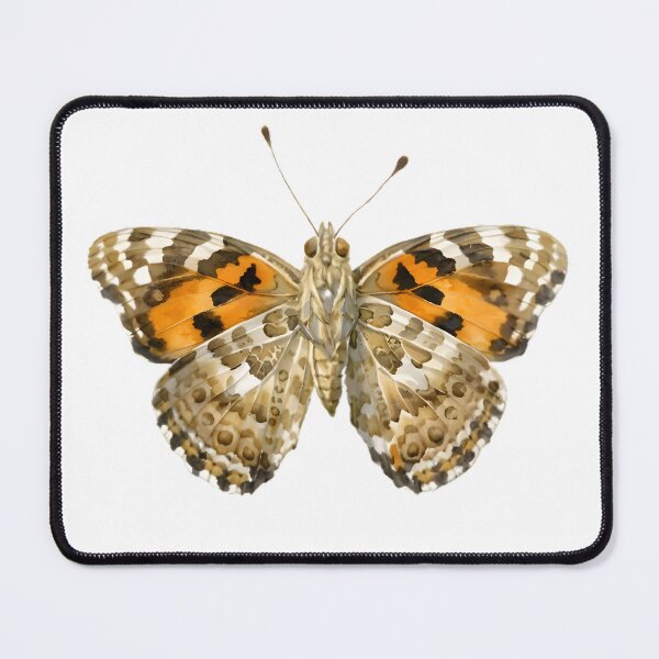 Item preview, Australian Painted Lady (Vanessa kershawi) designed and sold by HOMETOWN86.