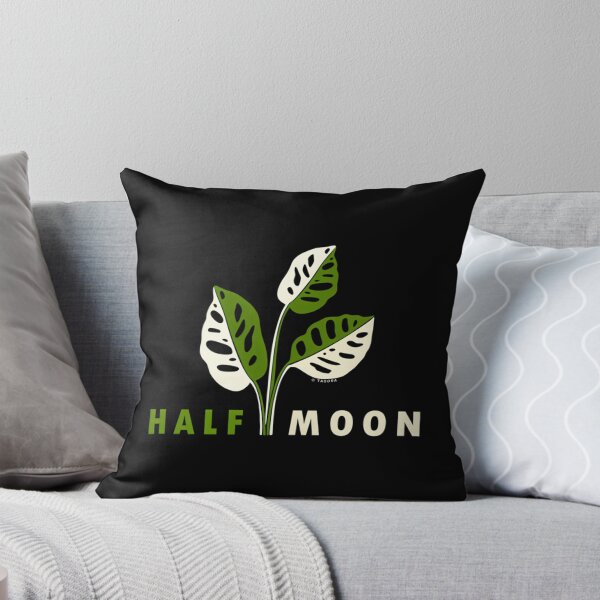 Item preview, Variegated Monstera Adansonii Half Moon designed and sold by iucrvgboh85.