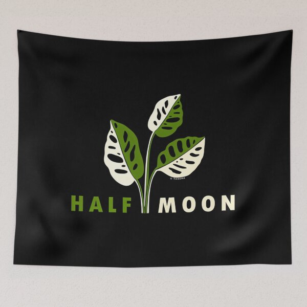 Item preview, Variegated Monstera Adansonii Half Moon designed and sold by iucrvgboh85.