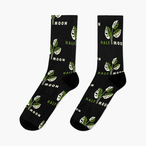 Item preview, Variegated Monstera Adansonii Half Moon designed and sold by iucrvgboh85.