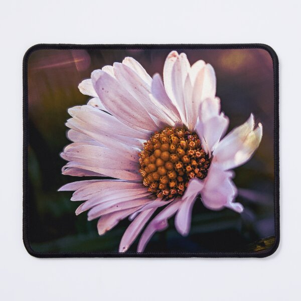 Item preview, daisies designed and sold by Tammigrafie.