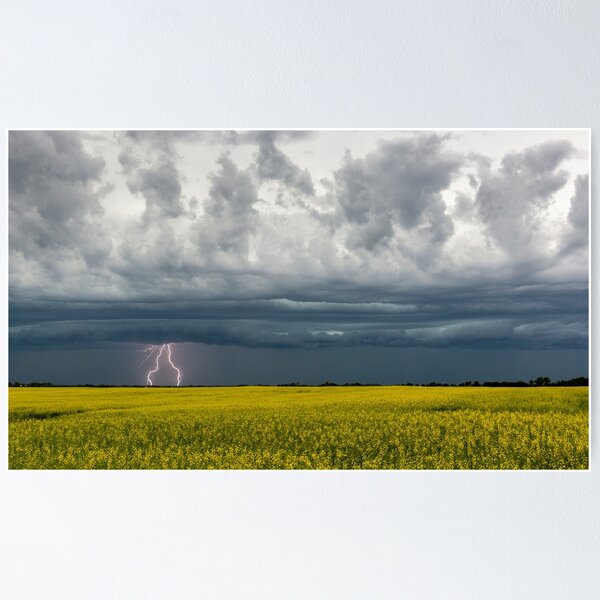 Item preview, Lightning Over Canola designed and sold by Don Arsenault.