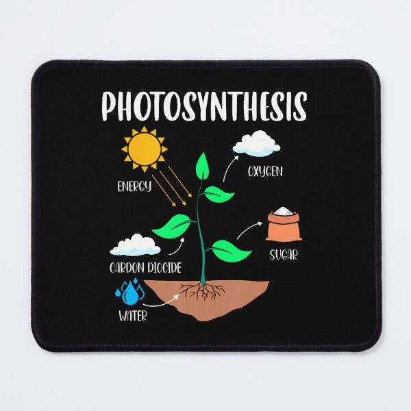 Item preview, Photosynthesis Houseplant Humor designed and sold by krvbfhdgtt84.