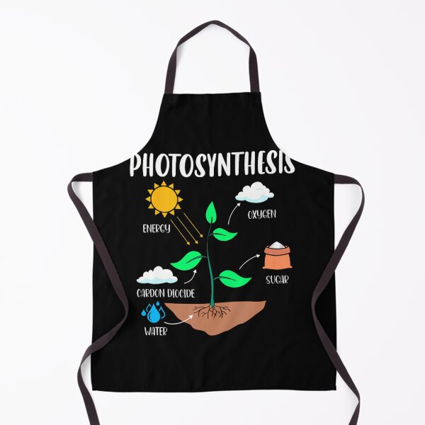 Item preview, Photosynthesis Houseplant Humor designed and sold by krvbfhdgtt84.