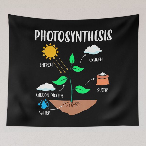 Item preview, Photosynthesis Houseplant Humor designed and sold by krvbfhdgtt84.
