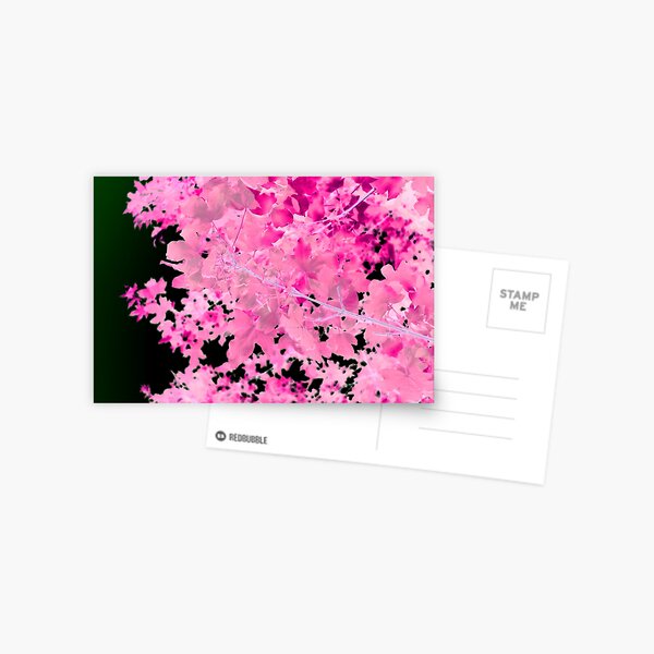 Pink Botanical Leaves Postcard