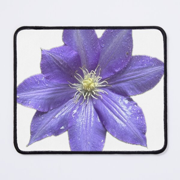 Item preview, Clematis  designed and sold by WAV-Wear-A-Vibe.