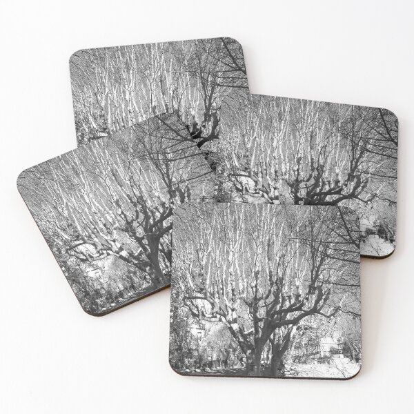 Item preview, Winter in the park. designed and sold by Paul Pasco.