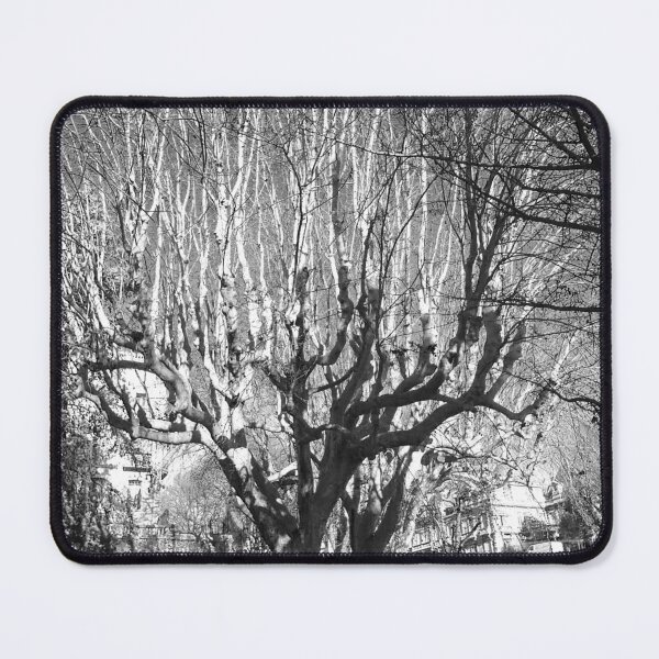 Item preview, Winter in the park. designed and sold by Paul Pasco.
