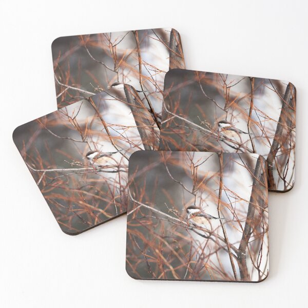 Item preview, Lapland tit (Poecile cinctus, syn.: Parus cinctus) designed and sold by Andreas Koerner.