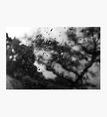 Rain Drops Photographic Print