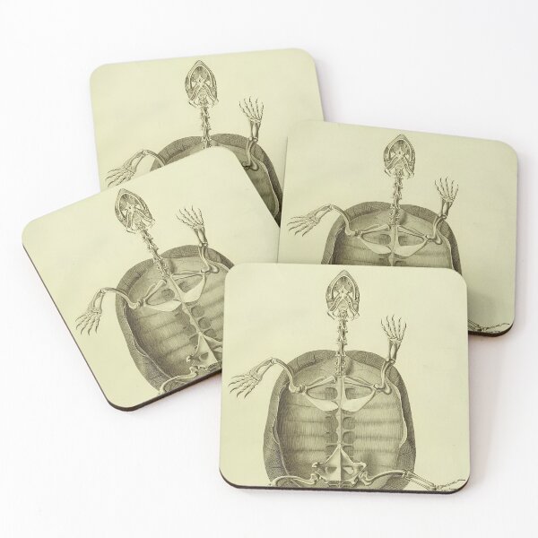 Item preview, Turtle anatomy Scientific Illustration Bojanus designed and sold by Retr0Tshirts.